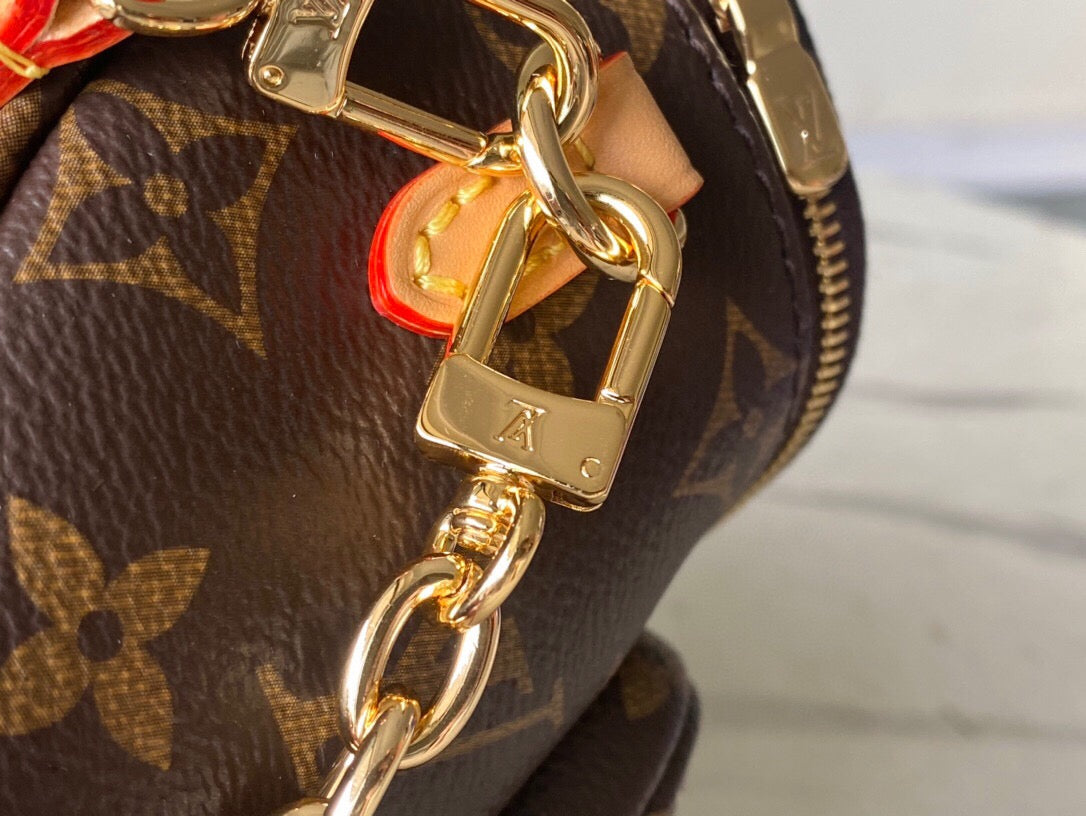 LV Bumbag Monogram