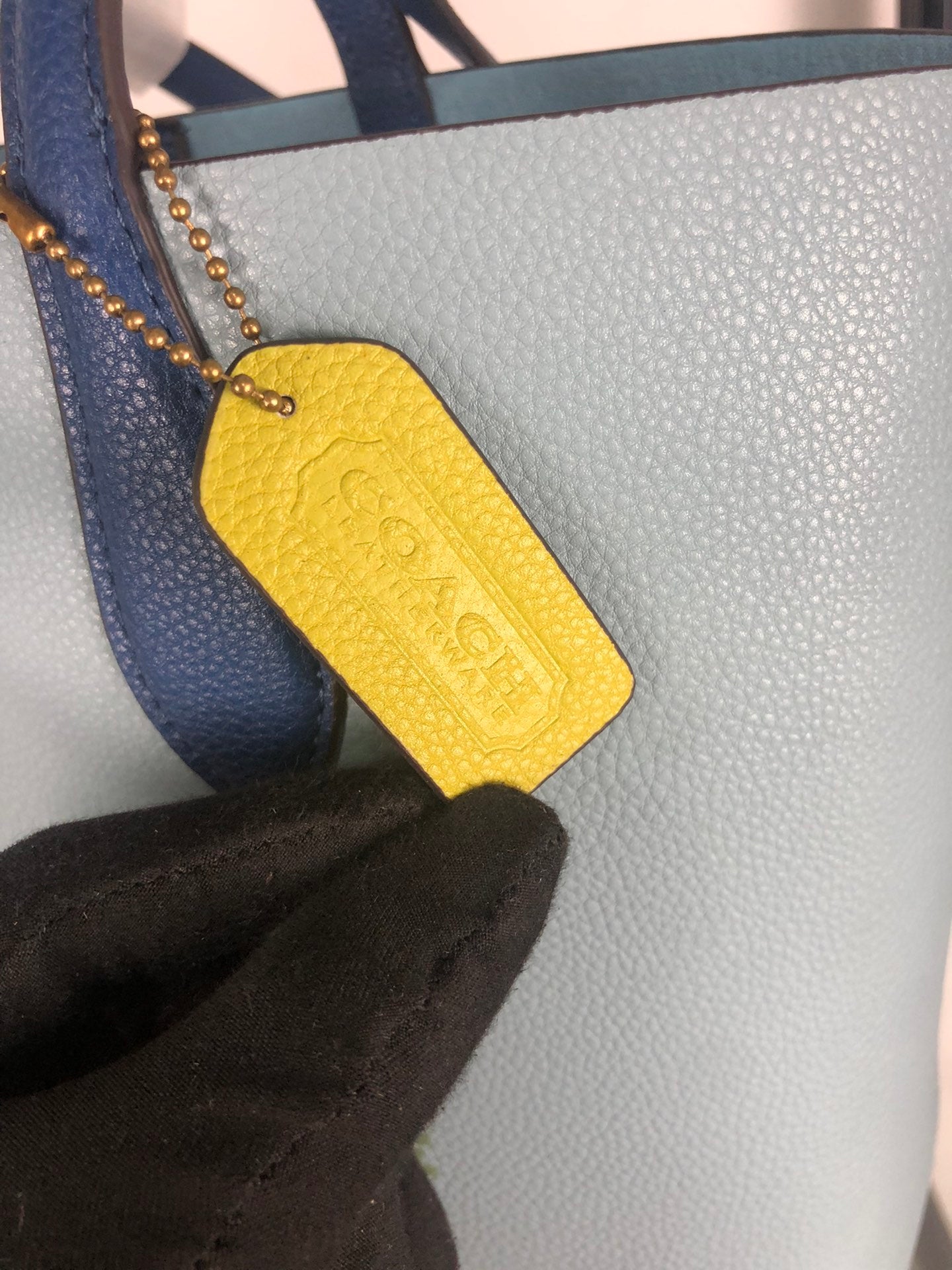 Coach Leatherware (Blue)