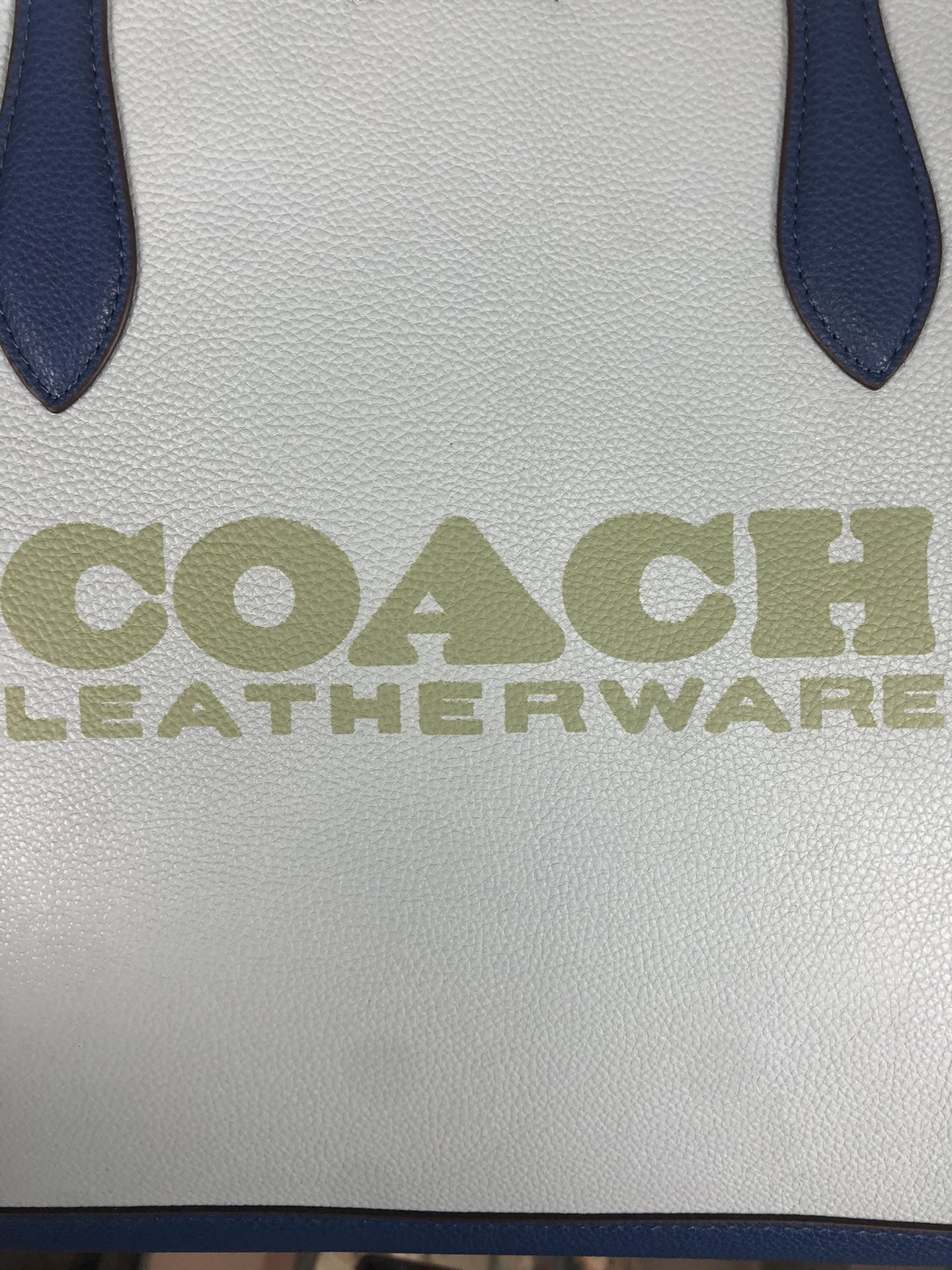 Coach Leatherware (Blue)