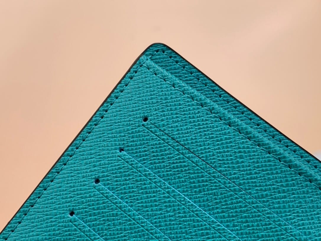 LV Wallet in Style