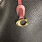 Coach Purse set