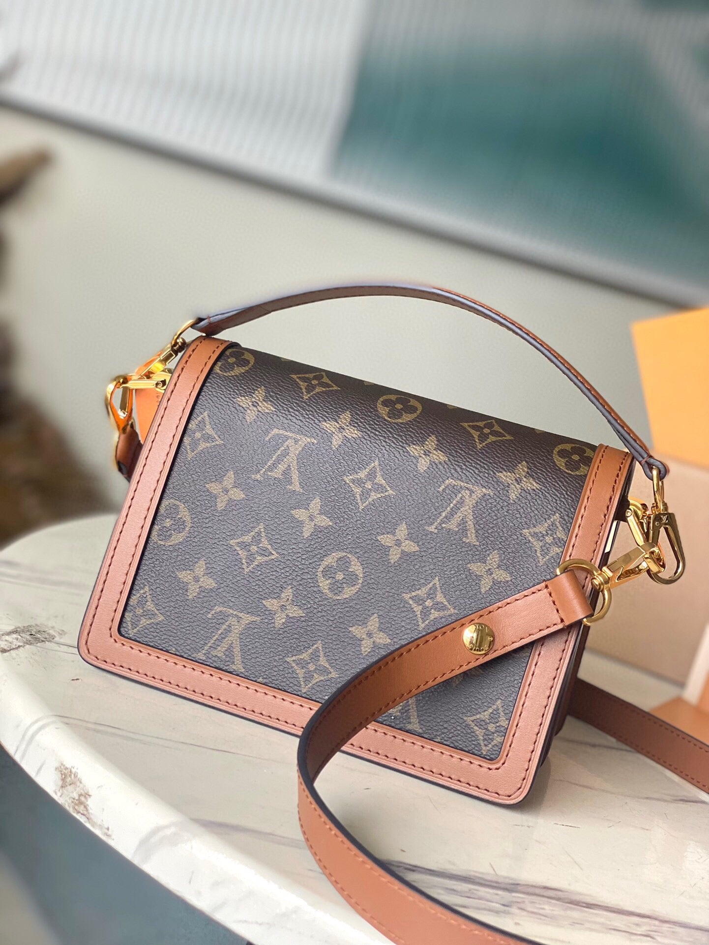 LV Reverse Monogram